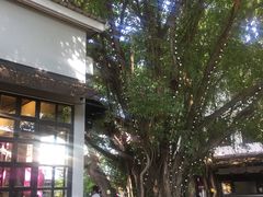 -莓园冰淇淋店
