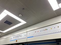 -东方体育中心(地铁站)