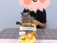 -CarolCake卡萝家(锦华万达店)