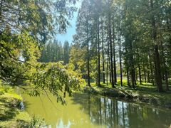 -黄海国家森林公园