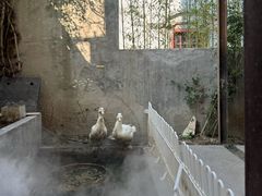 -阿姨食堂