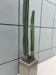 -无界瑜伽普拉提