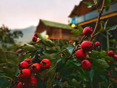 -北京山里寒舍度假酒店