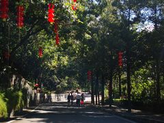 -广州市流溪河国家森林公园