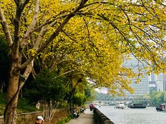 -运河游船(武林门码头)