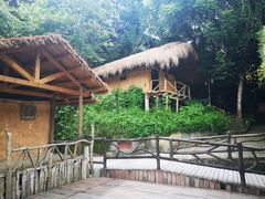 -海南槟榔谷黎苗文化旅游区