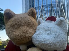 -深圳湾万象城(南山店)