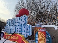 -沈阳奥体冰雪嘉年华