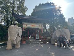 -华雅花园大酒店