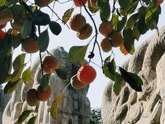 -北京石刻艺术博物馆(五塔寺)