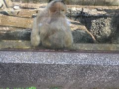 -昆明动物园