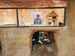 -酷嗒动物文化乐园(cutezoo西溪乐天城店)