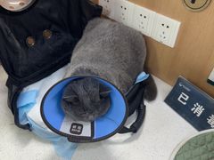 -联合动物医院(光谷诊疗中心)