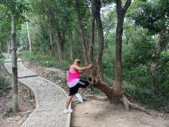 -上海佘山国家森林公园天马山园