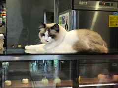 -咖法森林·咖啡  酒吧(天河店)