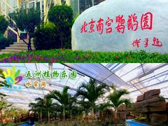 -南宫五洲植物乐园