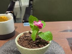 -Shantek象提南亚西餐厅&Bistro(淮海中路店)