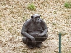 -石家庄市动物园