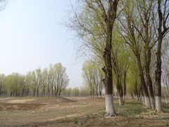 -东郊湿地公园