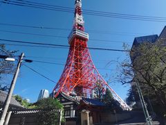 -东京塔海贼王主题公园