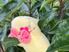 -杭州龙禧福朋喜来登酒店