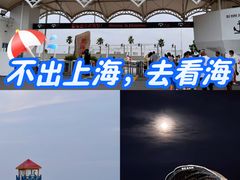 -碧海金沙