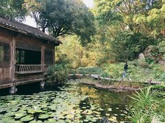 -深圳国际园林花卉博览园