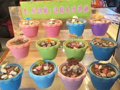 -都江堰中华大熊猫苑