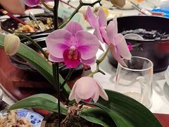 -山水茶艺馆·点心粤菜·30年老字号