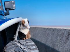 -南汇嘴观海公园