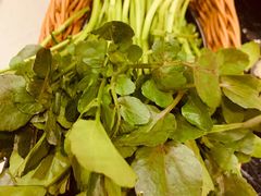 西洋菜-官也街澳门火锅(新源里店)