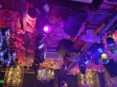 -喜鹊音乐酒馆(西街店)