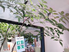 -Joymean coffee.见面咖啡
