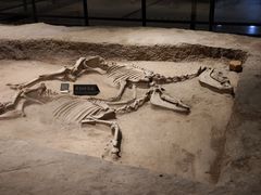 -洛阳周王城天子驾六博物馆