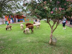 -太阳岛度假酒店