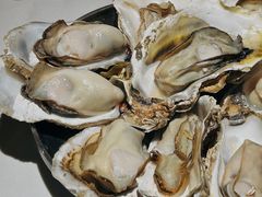 -蚝堡海鲜·威海菜·海肠捞饭·烧烤·亚洲吃蚝公司(幸福门店)