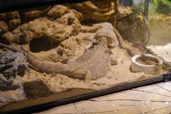 -酷嗒动物文化乐园(cutezoo西溪乐天城店)