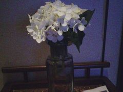 -唐宫足道·SPA·影院会馆(木渎店)