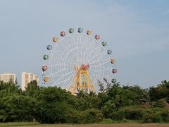-万绿园