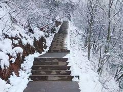 -塔云山