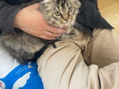 -pd派德宠物中心医院24H急重症·眼科中心·血液透析中心(嵩山北路店)