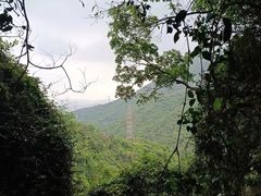 -东莞市大岭山森林公园