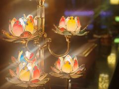 -玛拉亚藏餐厅