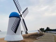 -渡海小渔村.老辈日照菜