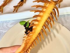 -香格里拉鱼跃地中海西餐厅·牛排披萨