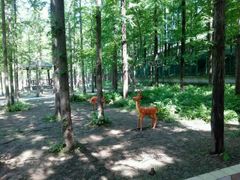 -南京金牛湖风景区