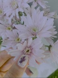 -M Nails & Beauty美甲美睫美体