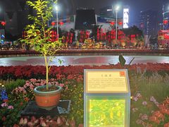 -天河体育中心