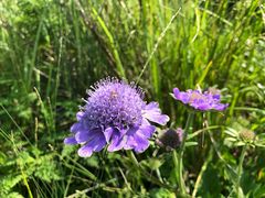-白草畔自然风景区