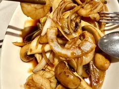 -食为先(Shark Fin)